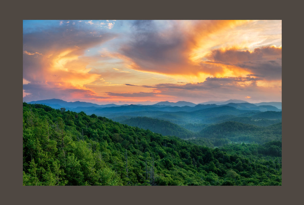 Kin A Novel by Alan Graebner