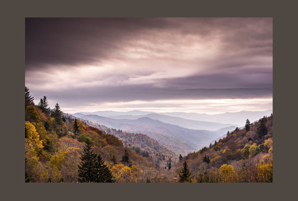 Kin A Novel by Alan Graebner