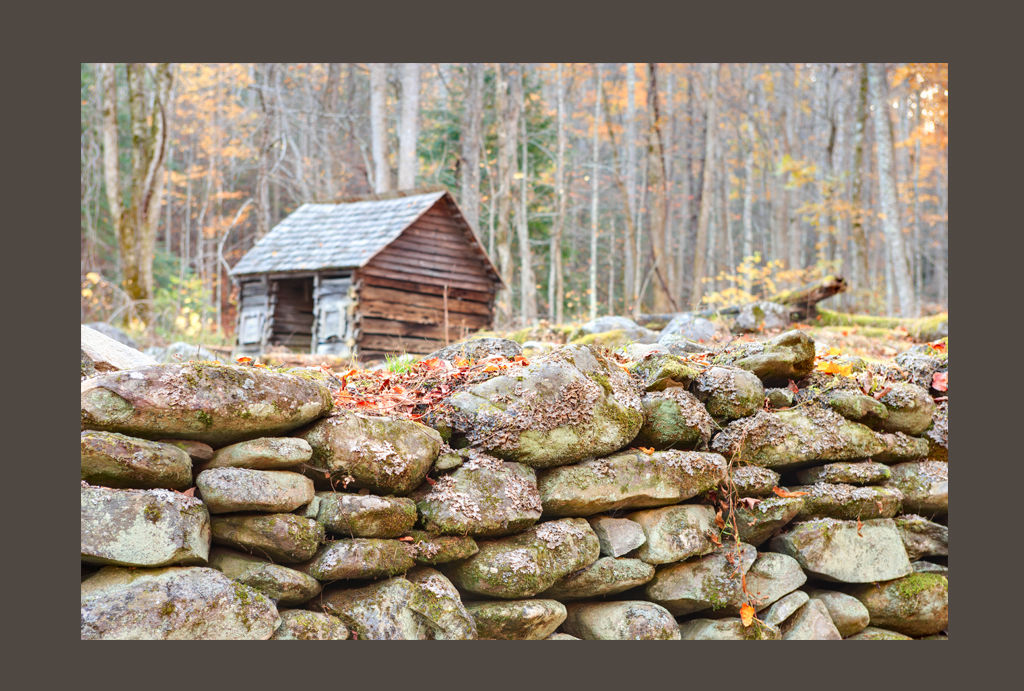 Kin A Novel by Alan Graebner