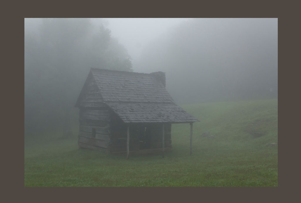 Kin A Novel by Alan Graebner