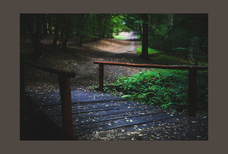 Kin a Novel by Alan Graebner 